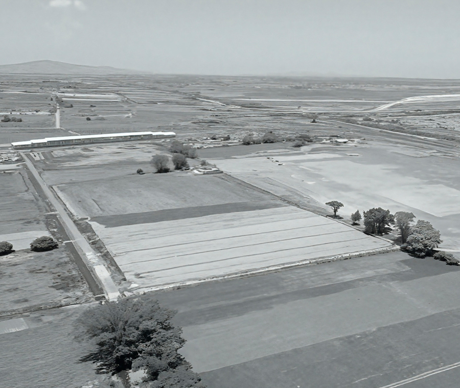 Newsletter Panorama Industrial Tultepec