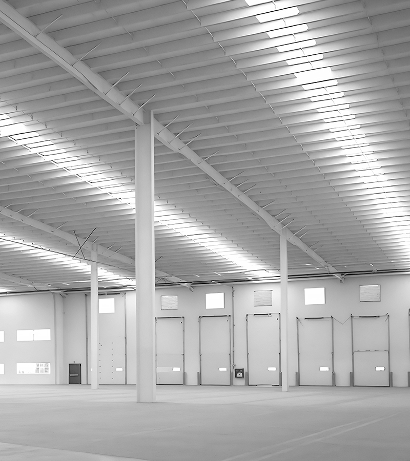 Panorama Industrial El Salto